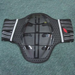 Back Protection Belt
